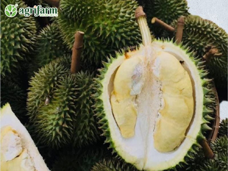 cach-trong-sau-rieng