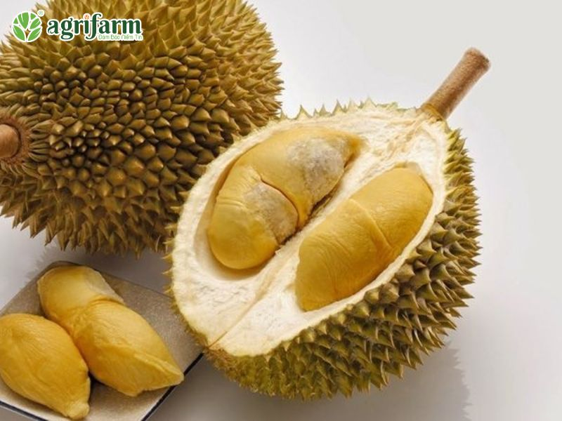 qua-sau-rieng
