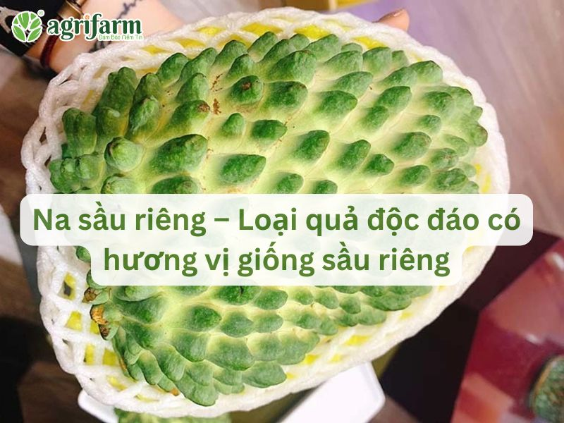 na-sau-rieng
