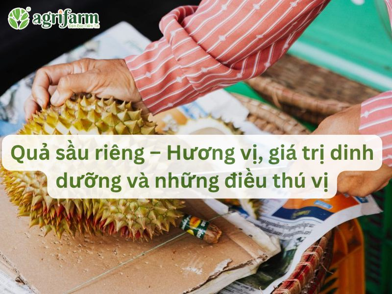 qua-sau-rieng