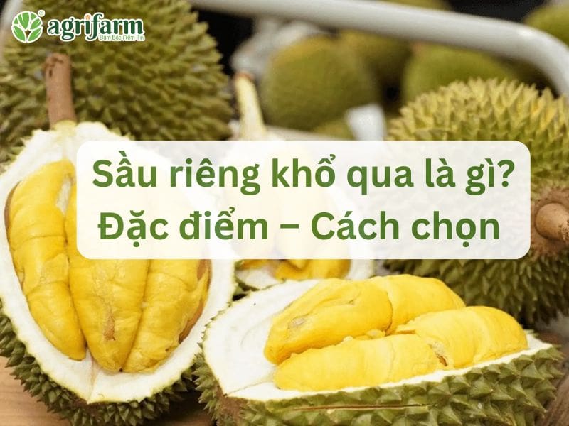 sau-rieng-kho-qua