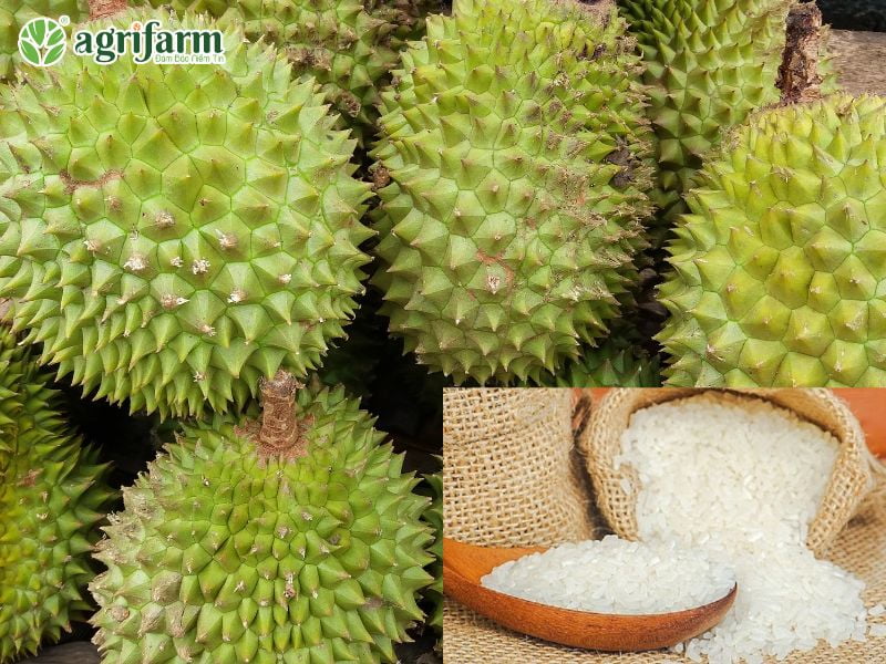 cach-u-sau-rieng-nhanh-chin
