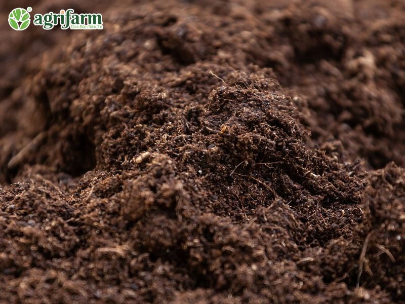 cong-dung-va-loi-ich-thuc-te-cua-phan-humic
