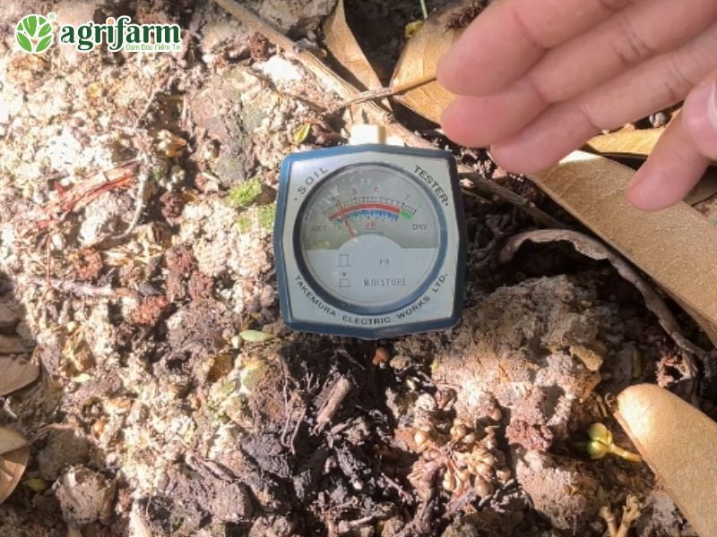 cong-dung-va-loi-ich-thuc-te-cua-phan-humic