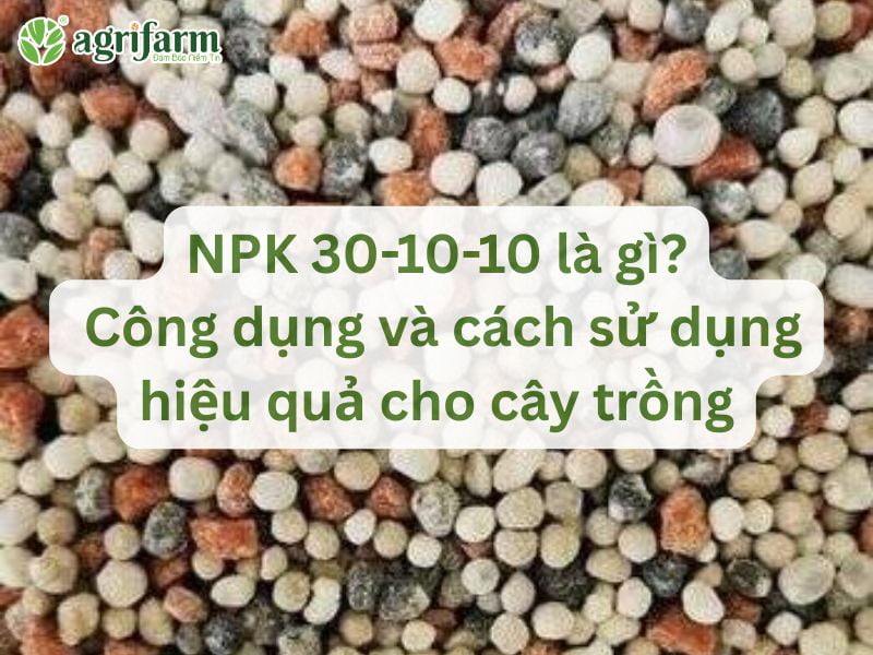 phan-npk-30-10-10-cong-dung-va-cach-su-dung-hieu-qua-Agrifarmvn