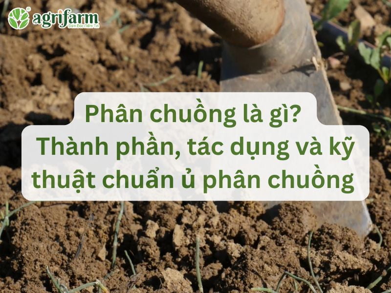 thanh-phan-tac-dung-va-ky-thuat-u-phan-chuong-Agrifarmvn