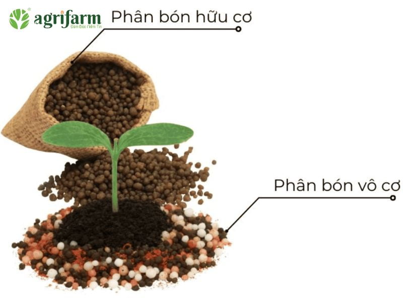 uu-nhuoc-diem-cua-phan-bon-vo-co