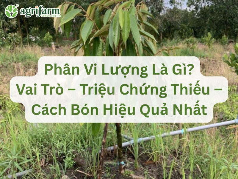 vai-tro-va-cach-su-dung-phan-bon-vi-luong