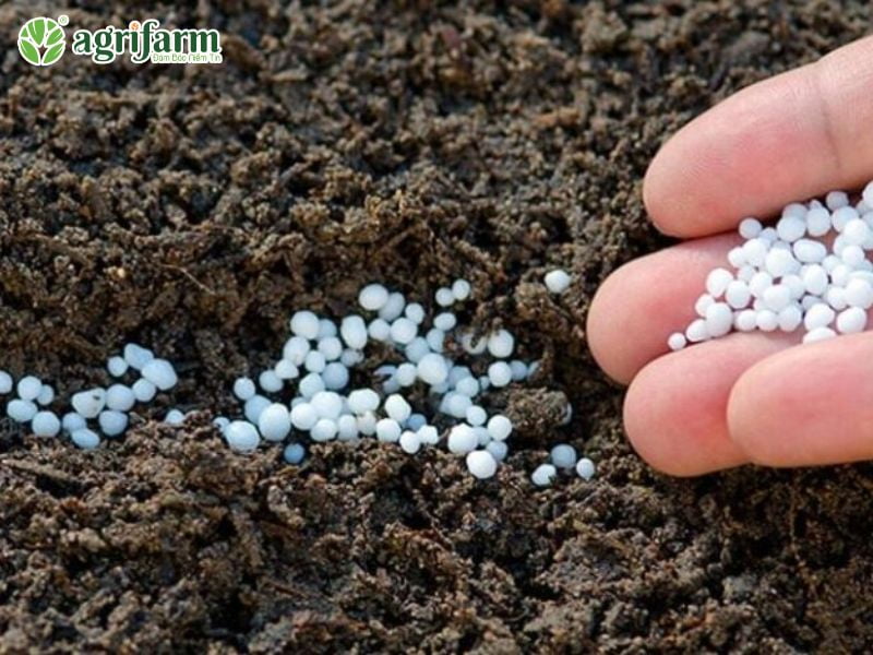 npk-20-20-15-thanh-phan-dac-diem-su-dung-Agrifarmvn