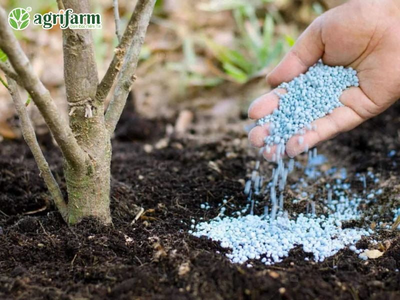 npk-20-20-15-thanh-phan-dac-diem-su-dung-Agrifarmvn