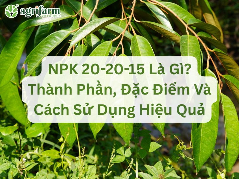 npk-20-20-15-thanh-phan-dac-diem-su-dung-Agrifarmvn