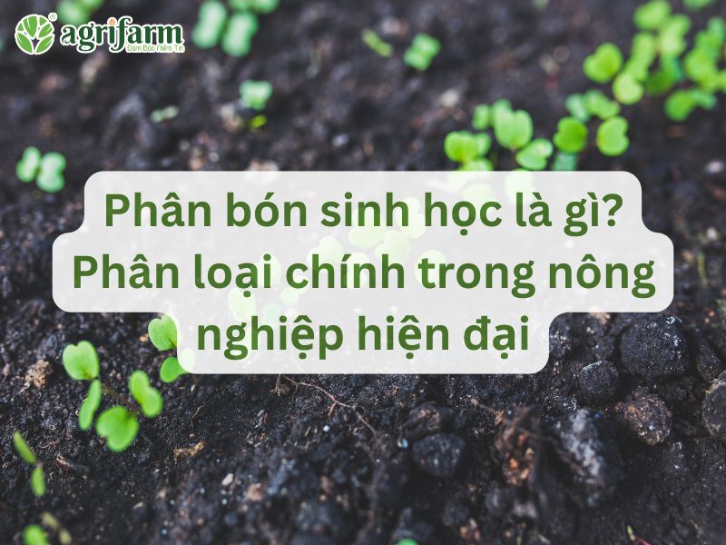 phan-huu-co-sinh-hoc-la-gi
