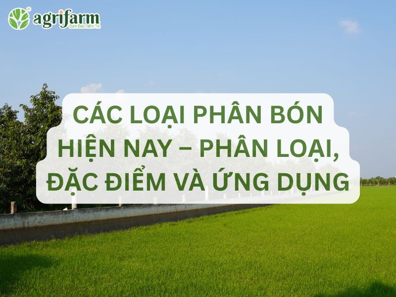 phan-loai-va-dac-diem-cac-loai-phan-bon-hien-nay-Agrifarmvn