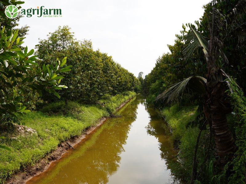 5-thoi-diem-bon-phan-nha-vuon-nen-biet