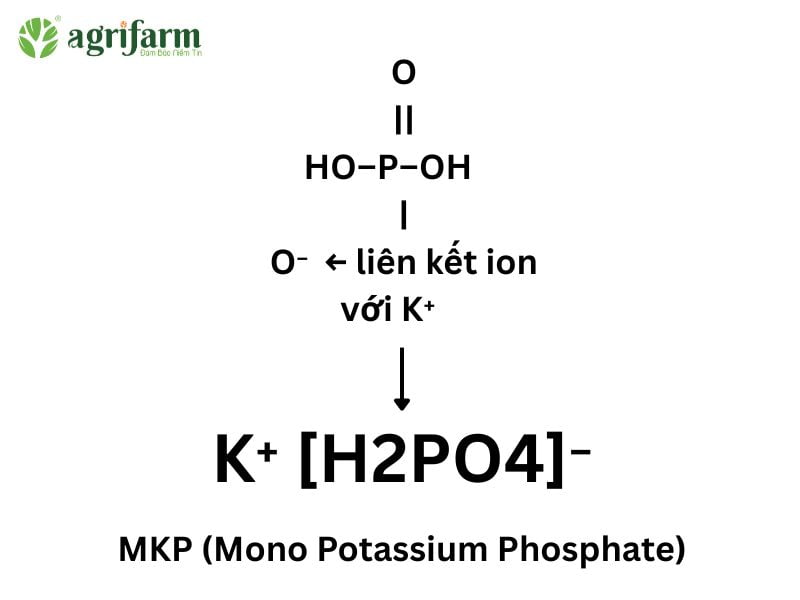phan-mkp-cong-dung-thanh-phan-cach-su-dung (4)