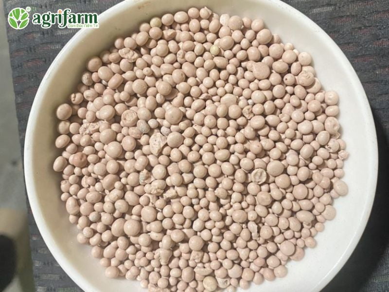 cong-dung-phan-npk-16-16-8-la-gi