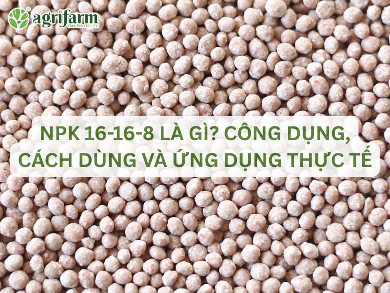 cong-dung-phan-npk-16-16-8-la-gi